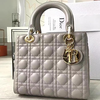 Lady Dior 1569