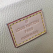 Louis Vuitton NICE - 4