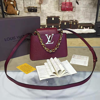 Louis Vuitton CAPUCINES 3459