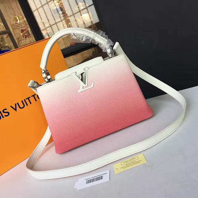 Louis Vuitton CAPUCINES 3460 - 1