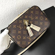 Louis Vuitton Monogram SAINTONGE M43559 - 6