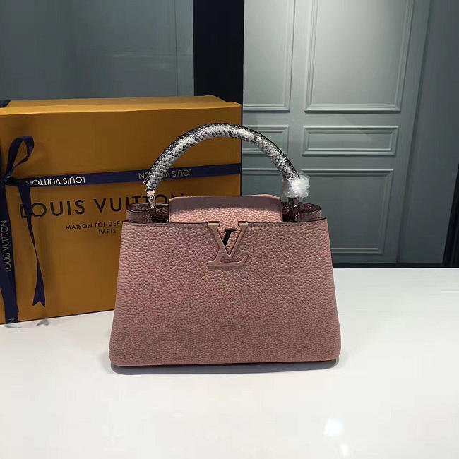 LOUIS VUITTON CAPUCINES 3453 - 1