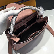 LOUIS VUITTON CAPUCINES 3453 - 2