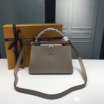 LOUIS VUITTON CAPUCINES 3673