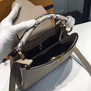 LOUIS VUITTON CAPUCINES 3673 - 2