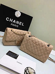 CHANEL 1112 beige 2.55 Calfskin Leather Flap Bag with Gold Hardware - 5