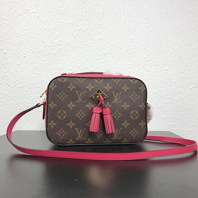 Louis Vuitton Monogram SAINTONGE M43557 - 1