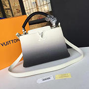 Louis Vuitton CAPUCINES 3463 - 1