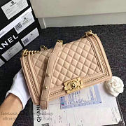 Chanel Lambskin Medium Boy Bag A67086 Beige 2017 VS02723 - 2