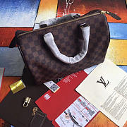 LOUIS VUITTON SPEEDY 30 3119 - 5