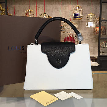 LOUIS VUITTON CAPUCINES 3469