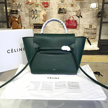 Celine Belt bag 1196