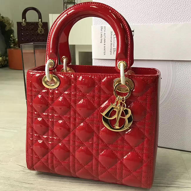 Lady Dior 1610 - 1