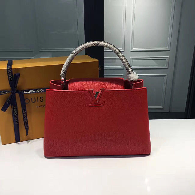 LOUIS VUITTON CAPUCINES 3680 - 1