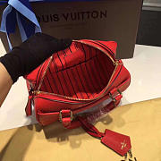 LOUIS VUITTON SPEEDY 25 3814 - 6