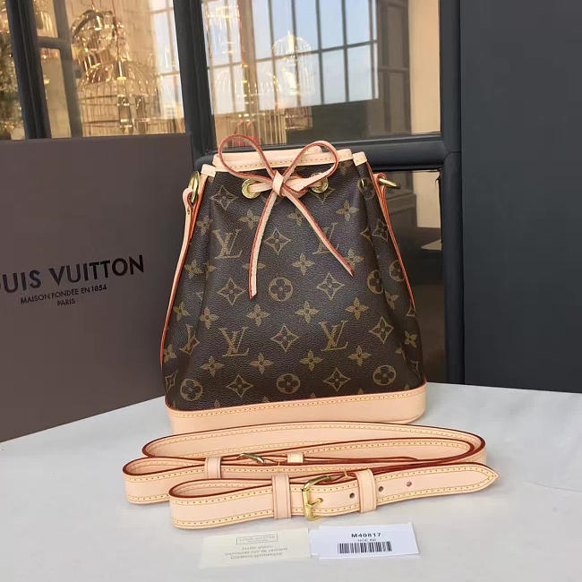 Louis Vuitton NOE BB - 1