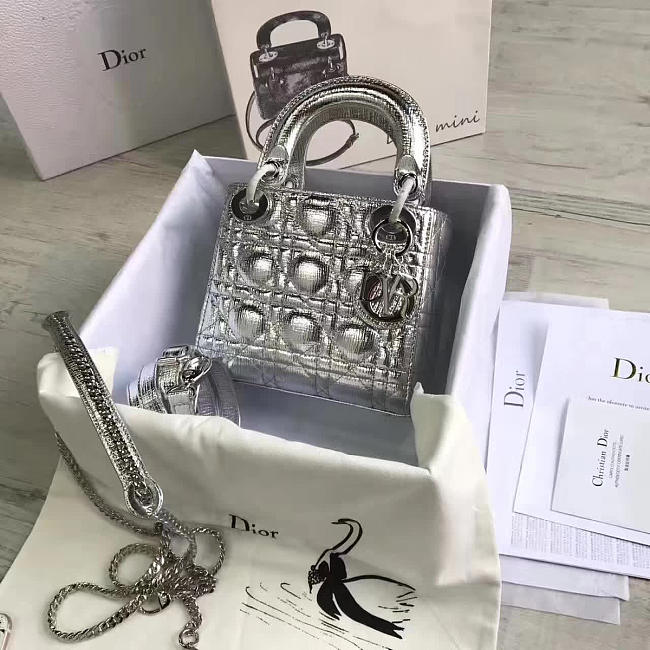 Lady Dior mini 1556 - 1