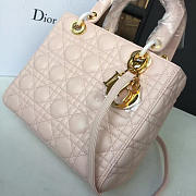 Lady Dior 1621 - 5