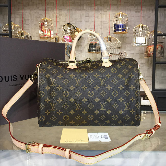 LOUIS VUITTON SPEEDY 35 3114 - 1