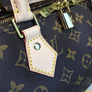 LOUIS VUITTON SPEEDY 35 3114 - 5