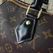 Louis Vuitton Speedy 3684 - 3