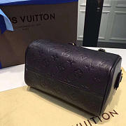 LOUIS VUITTON SPEEDY 25 3807 - 5