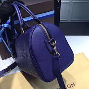 LOUIS VUITTON SPEEDY 25 3828 - 6