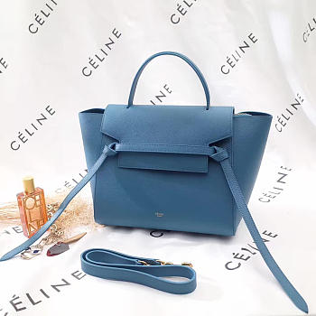 Celine Belt bag 1199