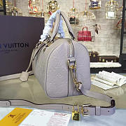 Louis Vuitton SPEEDY 25 3203 - 6