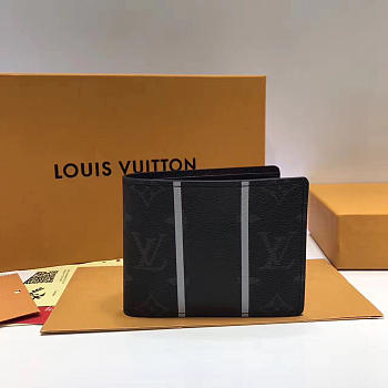 Louis Vuitton multiple