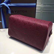 LOUIS VUITTON SPEEDY 25 3808 - 5