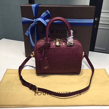 LOUIS VUITTON SPEEDY 20 3819