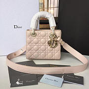 Lady Dior 1624 - 1