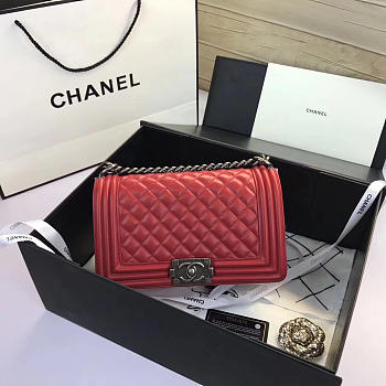 Chanel Le Boy Bags
