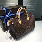 LOUIS VUITTON SPEEDY 30 3104 - 6