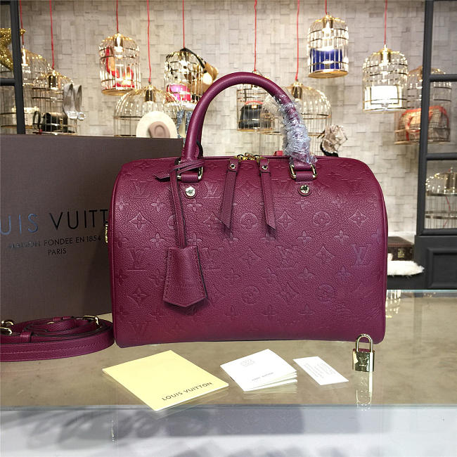 LOUIS VUITTON SPEEDY 30 3117 - 1