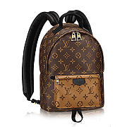 Louis Vuitton M43116 Palm Springs Backpack PM Monogram Canvas - 1