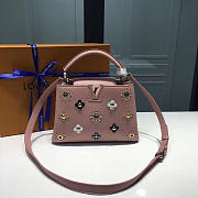 LOUIS VUITTON CAPUCINES 3669 - 1