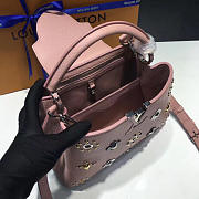 LOUIS VUITTON CAPUCINES 3669 - 2