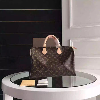 Louis Vuitton speedy 35 3799