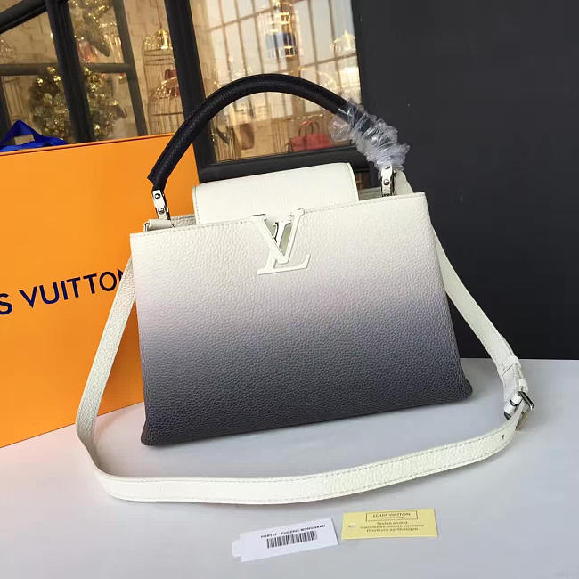 Louis Vuitton CAPUCINES 3458 - 1