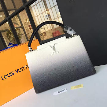 Louis Vuitton CAPUCINES 3464