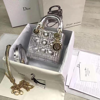 Lady Dior mini 1561