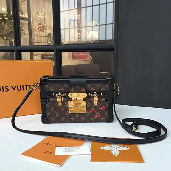 Louis Vuitton box 3496