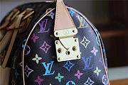 Louis Vuitton Speedy 3824 - 3