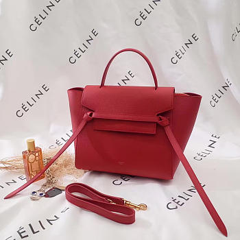 Celine Belt bag 1193