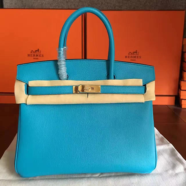 Hermes birkin 2950 - 1