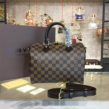 LOUIS VUITTON SPEEDY 25 3224