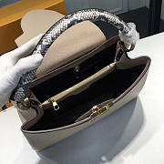 LOUIS VUITTON CAPUCINES 3674 - 2