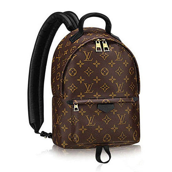 Louis Vuitton M41560 Palm Springs Backpack PM Monogram Canvas - 1